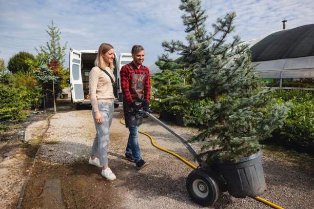 Best Organic Lawn Care Solutions  in Bridgeport, TX